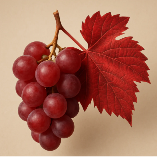 Маска для окрашенных волос Rolland Color Up Color Protection Hair Mask ph: 2,5 — 3,5 