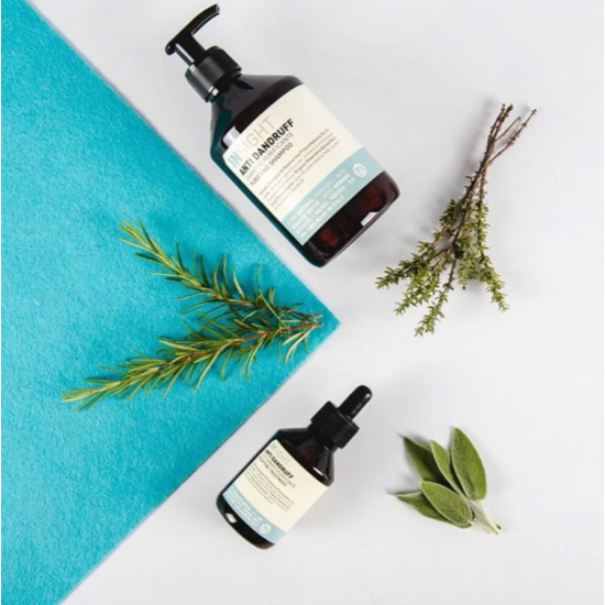 Лосьон от перхоти очищающий Purifying Treatment ANTI DANDRUFF Insight 100 мл