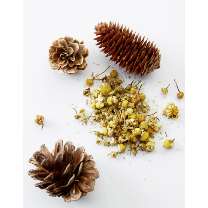 Універсальний шампунь RELAXING CHAMOMILE and PINE SHAMPOO 3 in 1 American Crew 