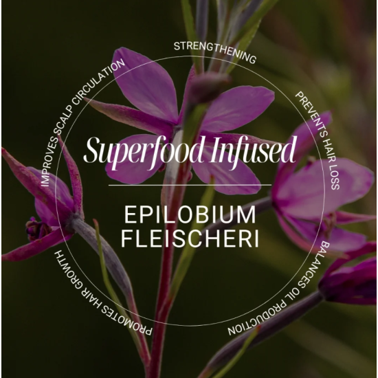 Очищаючий шампунь для волосся і шкіри голови Clarifying 09 Biotop