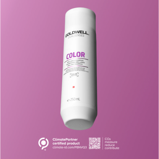 Шампунь для збереження кольору тонкого фарбованого волосся Dualsenses Color Goldwell