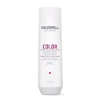 Шампунь для збереження кольору тонкого фарбованого волосся Dualsenses Color Goldwell
