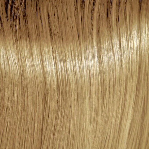 Blonde Golden Ash 8/31