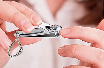 Книпсеры Книпсеры