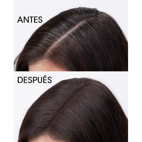 Камуфлирующая пудра для седины Root Cover Charge Lendan