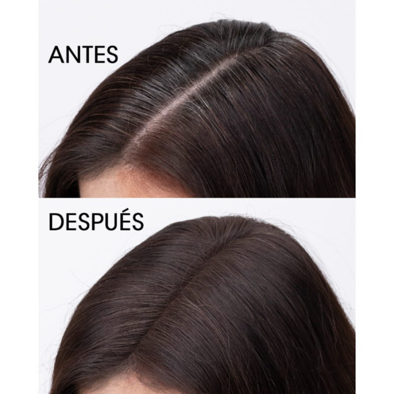 Камуфлирующая пудра для седины Root Cover Charge Lendan