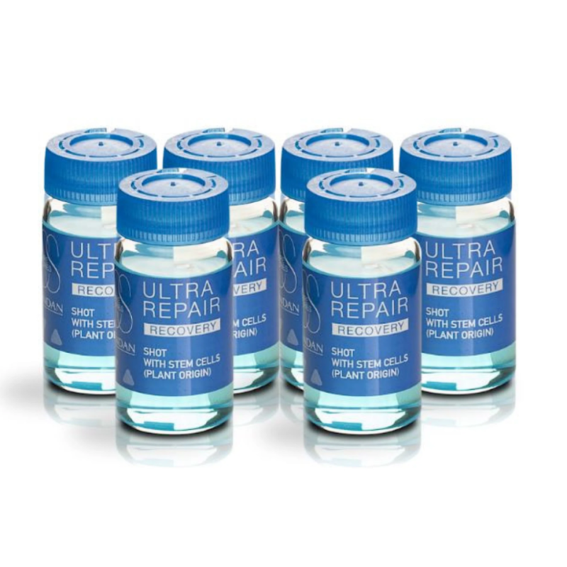 Концентрированный бустер для восстановления волос Recovery Ultra Repair Shot Lendan 6x10 мл