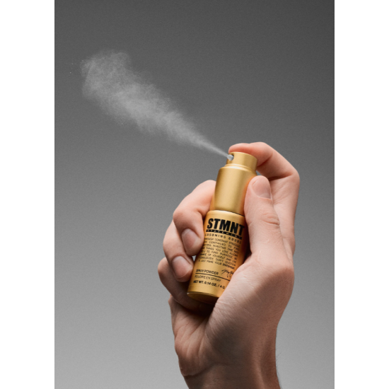 Пудра-спрей для волосся Powder Spray Grooming Goods STMNT 4 гр