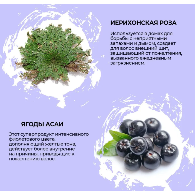 Концентрированный фиолетовый пигмент для нейтрализации желтизны Pure Silver Yellow 100 мл Концентрированный фиолетовый пигмент для нейтрализации желтизны Pure Silver Yellow 100 мл