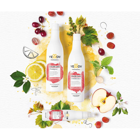 Шампунь для фарбованого волосся Color Care Shampoo Yellow