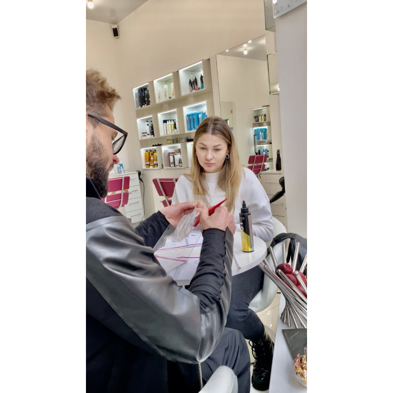 КУРС онлайн по Колористиці волосся для перукарів l ArtAlex AcademY КУРС онлайн по Колористиці волосся для перукарів l ArtAlex AcademY