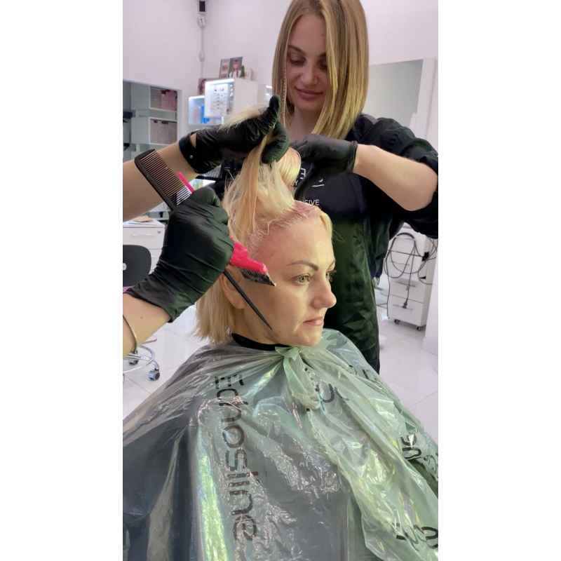 КУРС онлайн по Колористиці волосся для перукарів l ArtAlex AcademY КУРС онлайн по Колористиці волосся для перукарів l ArtAlex AcademY