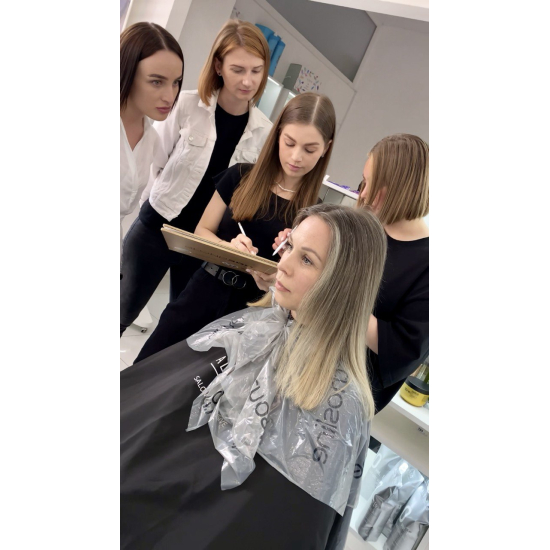 КУРС онлайн по Колористиці волосся для перукарів l ArtAlex AcademY