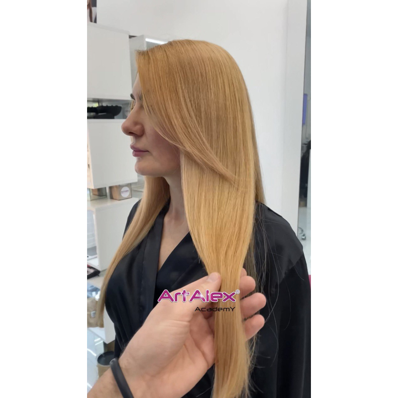 КУРС онлайн по Колористиці волосся для перукарів l ArtAlex AcademY КУРС онлайн по Колористиці волосся для перукарів l ArtAlex AcademY
