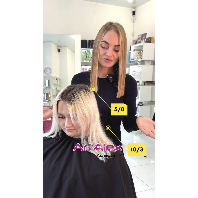 КУРС онлайн по Колористиці волосся для перукарів l ArtAlex AcademY КУРС онлайн по Колористиці волосся для перукарів l ArtAlex AcademY