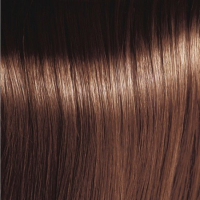 FRAMCOLOR ECLECTIC Framesi Chocolate 6HCE 6/64