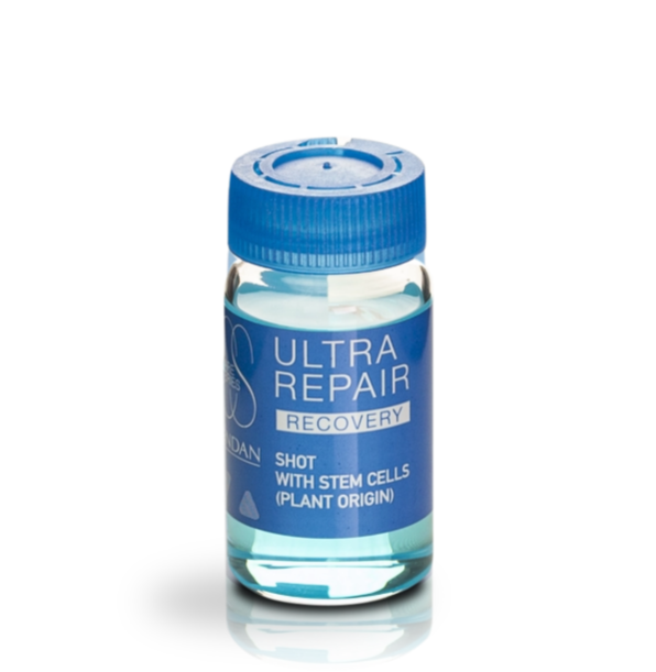 Концентрированный бустер для восстановления волос Recovery Ultra Repair Shot Lendan 6x10 мл