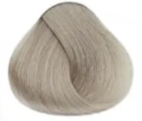 10.1 Світлий блондин попелястий 