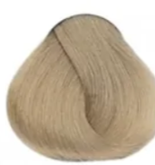 10.31 Світлий блондин золотисто-попелястий